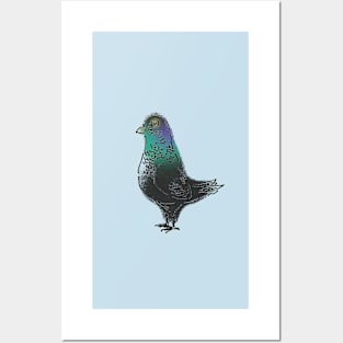 Pigeon 2 Posters and Art